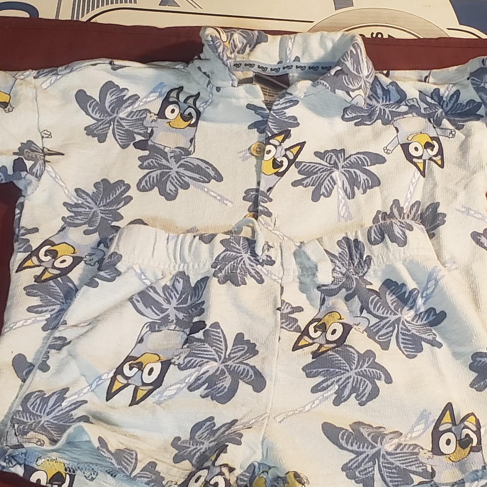 Blue and White Owl Print Pajama Set